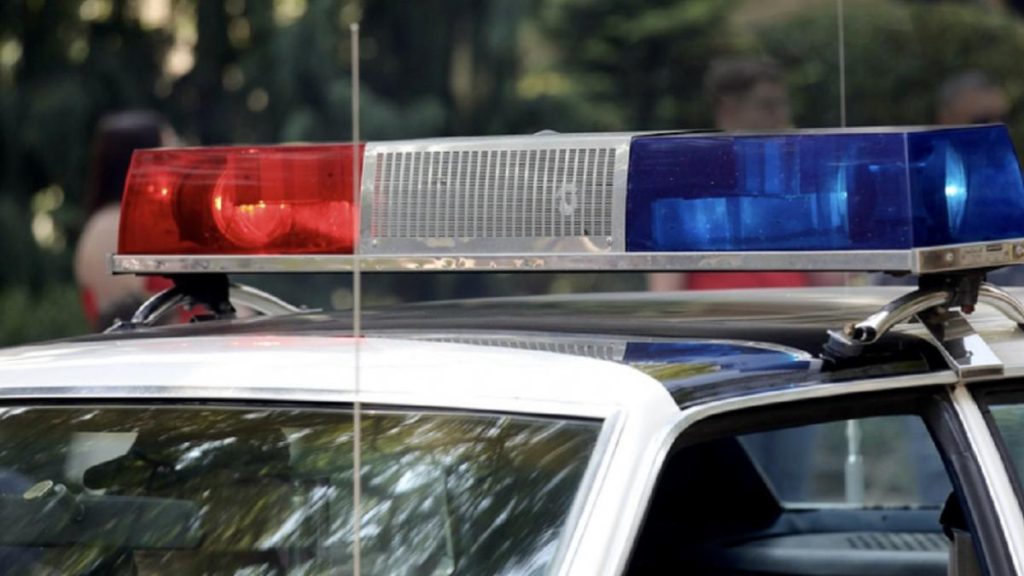 Doi barbati din Caracal au fost arestati dupa ce au ucis intentionat un caine