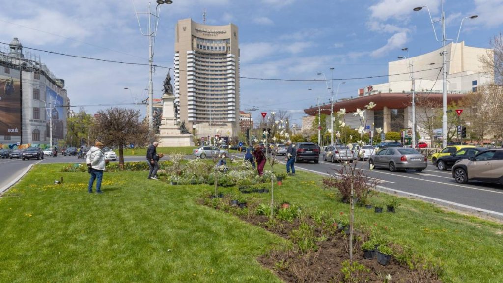 Imagini cu zona verde de la Kilometrul 0 al Bucureștiului, după ce Primăria a plantat 200 de flori. Imagini cu zona verde de la Kilometrul 0 al Bucurestiului dupa ce Primaria a plantat 200 de flori