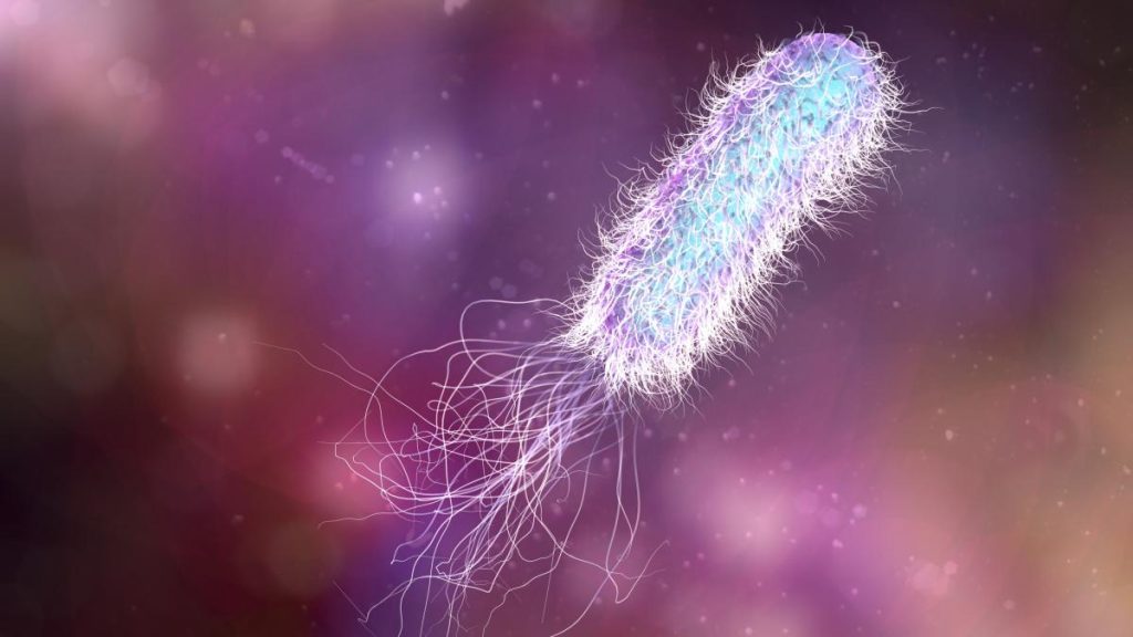 bacteriile pseudomonas aeruginosa au fost identificate la spitalul de pediatrie ploiesti ce masuri au fost