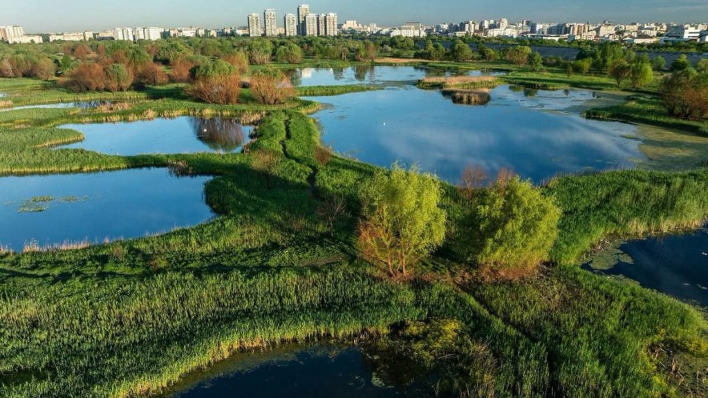 Bucureștiul ar putea beneficia de o Centură Verde de 250 de hectare. Primăria: Ne dorim să dezvoltăm… Bucurestiul ar putea beneficia de o Centura Verde de 250 de hectare Primaria Ne dorim sa dezvoltam