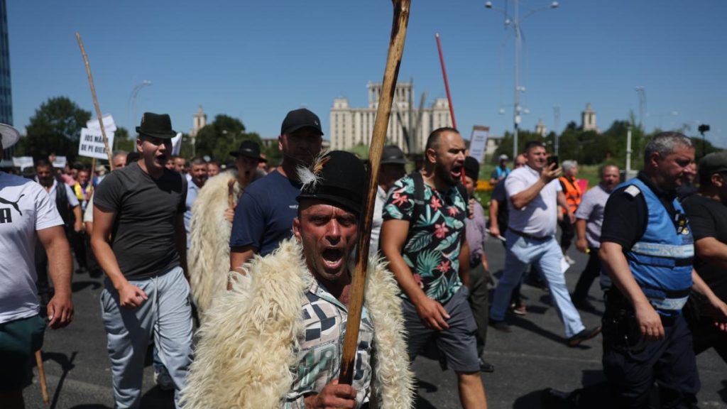 Directorul ANSVSA anunta crearea unei celule de criza dupa protestul violent al oierilor Ii inteleg