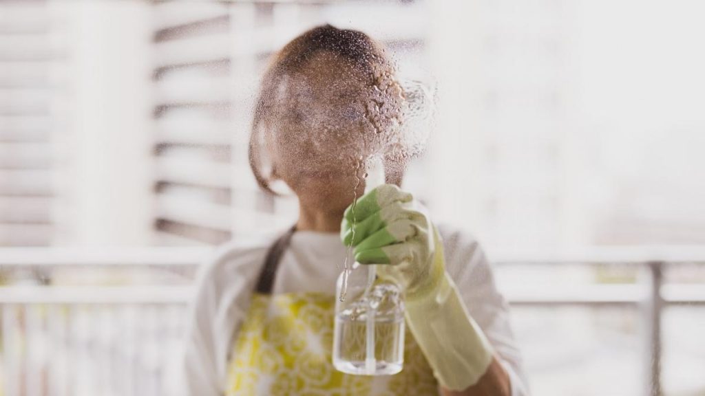 Cum poți deveni prestator de servicii domestice. Lucrezi legal în gospodării și beneficiezi de asigurări sociale. Cum poi deveni prestator de servicii domestice Lucrezi legal n gospodrii i beneficiezi de asigurri sociale