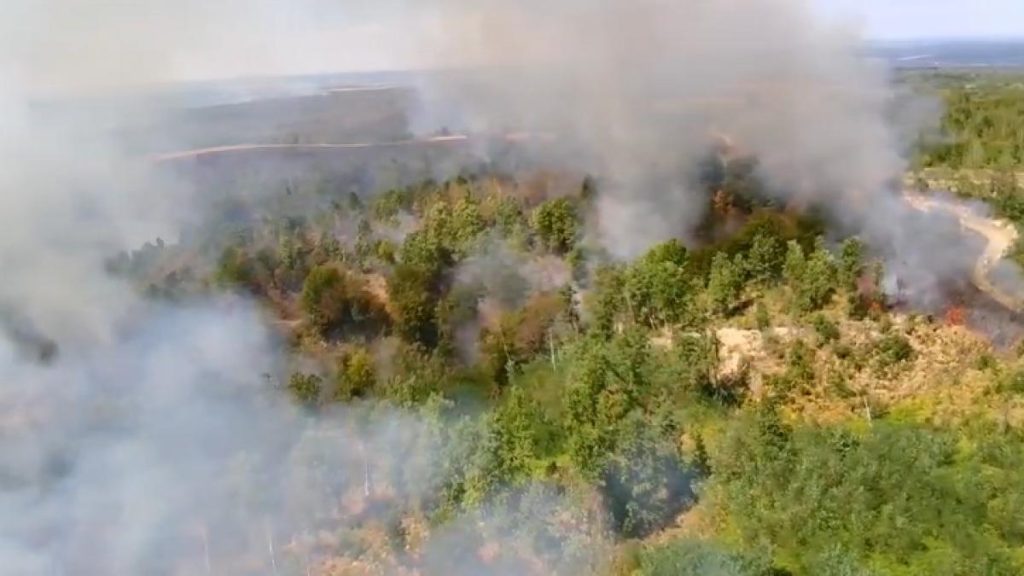 Incendii de vegetație în diverse localități din Timiș: 50 de pompieri luptă să stâmpere flăcările Incendii de vegetatie in diverse localitati din Timis 50 de pompieri lupta sa stampere flacarile