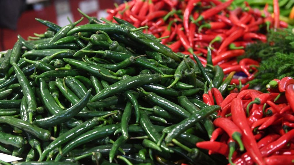 La Buzău au fost creați cei mai iuți ardei din lume prin încrucișarea soiului Grigoraș cu Habanero. La Buzau au fost creati cei mai iuti ardei din lume prin incrucisarea soiului Grigoras cu Habanero