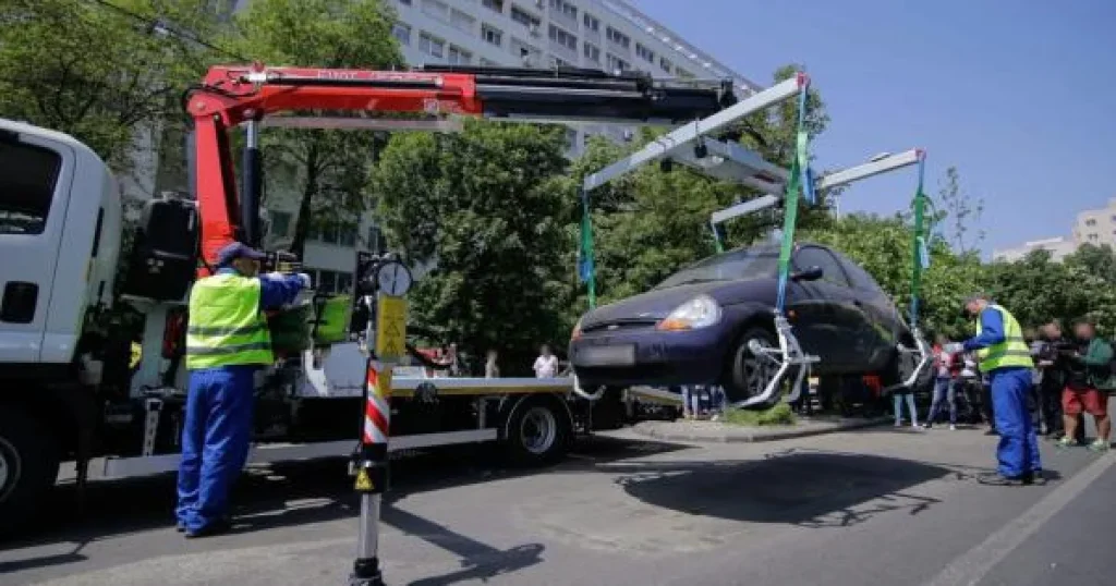 Mobilizare în Bistrița pentru găsirea unui cioban dispărut. Turma s-a întors fără el