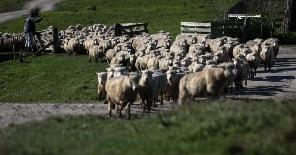 Șoferii români, opriți și întrebați unde merg. Zilele și orele, anunțate Șoferii români, opriți și întrebați unde merg. Zilele și orele, anunțate