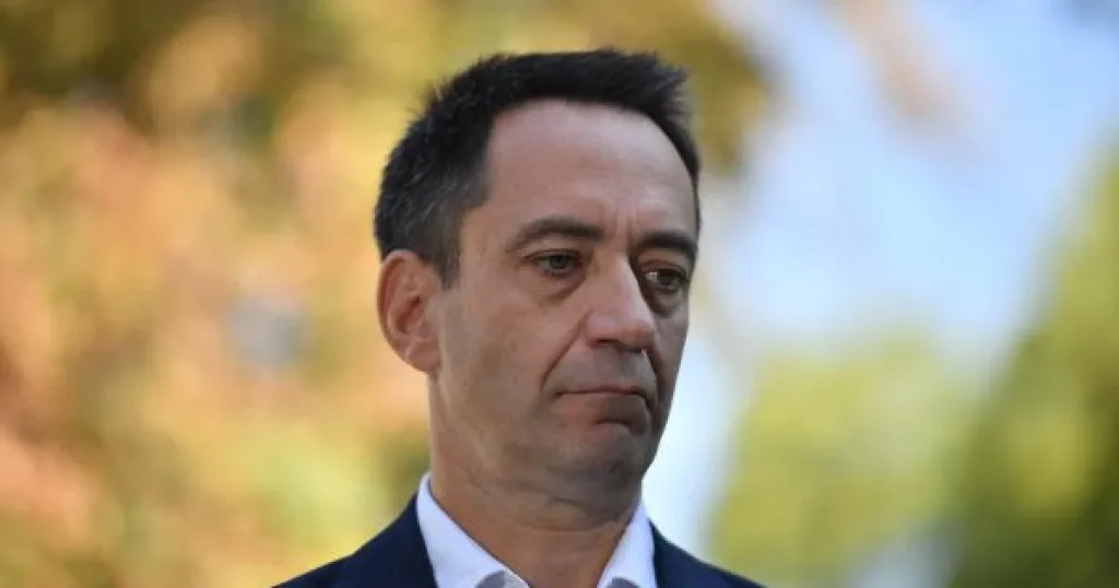 Copiii fug de urși, autoritățile de răspundere. Șandru cere măsuri la Târgu Mureș Copiii fug de urși, autoritățile de răspundere. Șandru cere măsuri la Târgu Mureș
