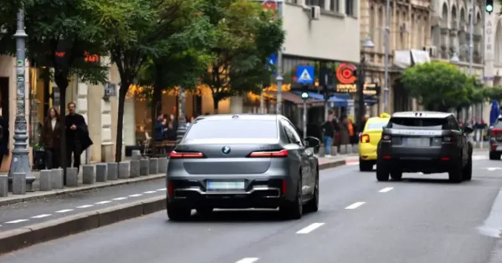 Românii pot dona pături și prosoape pentru animăluțe, personal, în București și Ilfov